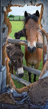 Lade das Bild in den Galerie-Viewer, Türtapete Esel selbstklebend Türposter Pferd Natur Tier 1006-2
