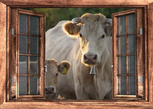 Lade das Bild in den Galerie-Viewer, Wandbild Schafe Fototapete Poster Fensterblick Lamm Weide Wiese Natur FE179LI
