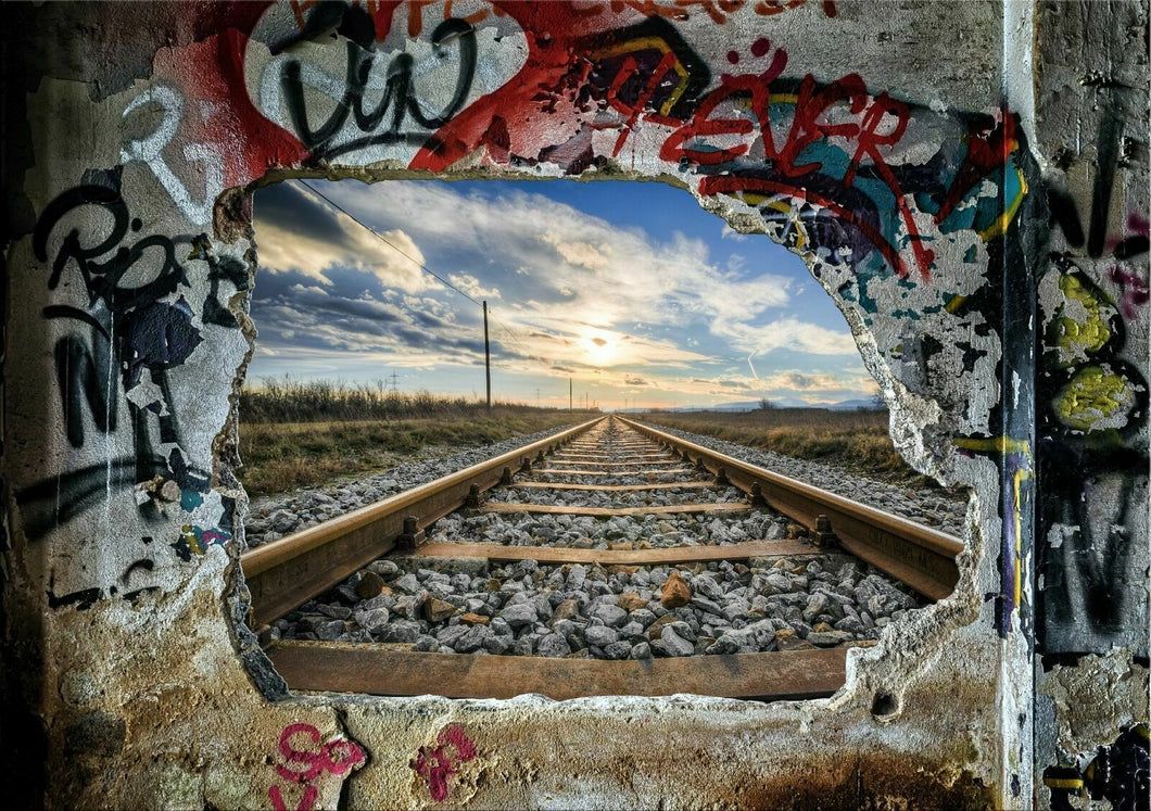 Wandbild Mauer Fototapete Poster Freiheit Schienen Bahn DR  WA500