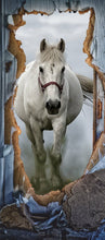 Lade das Bild in den Galerie-Viewer, Türposter Pony Pferd Schimmel Tapete selbstklebend  200x90cm 9010
