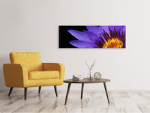 Lade das Bild in den Galerie-Viewer, Leinwandbild Panorama XL Seerose in lila
