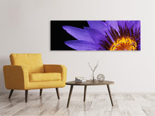 Lade das Bild in den Galerie-Viewer, Leinwandbild Panorama XL Seerose in lila
