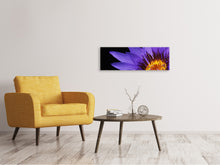 Lade das Bild in den Galerie-Viewer, Leinwandbild Panorama XL Seerose in lila
