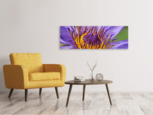 Lade das Bild in den Galerie-Viewer, Leinwandbild Panorama XXL Seerose in lila

