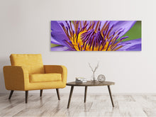 Lade das Bild in den Galerie-Viewer, Leinwandbild Panorama XXL Seerose in lila
