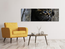 Lade das Bild in den Galerie-Viewer, Leinwandbild Panorama Katzen Kind
