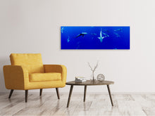Lade das Bild in den Galerie-Viewer, Leinwandbild Panorama Im Haifischbecken
