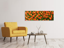 Lade das Bild in den Galerie-Viewer, Leinwandbild Panorama Tulpenfeld in orange
