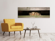 Lade das Bild in den Galerie-Viewer, Leinwandbild Panorama Katze im Versteck
