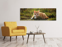 Lade das Bild in den Galerie-Viewer, Leinwandbild Panorama Kitten in der Natur
