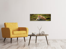 Lade das Bild in den Galerie-Viewer, Leinwandbild Panorama Kitten in der Natur
