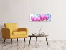 Lade das Bild in den Galerie-Viewer, Leinwandbild Panorama Tulpen in der Natur
