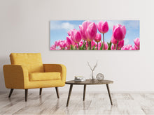 Lade das Bild in den Galerie-Viewer, Leinwandbild Panorama Tulpenfeld in rosa

