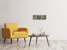Lade das Bild in den Galerie-Viewer, Leinwandbild Panorama Lavendel in XL
