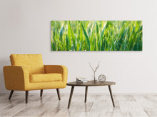 Lade das Bild in den Galerie-Viewer, Leinwandbild Panorama Gras mit Morgentau XL
