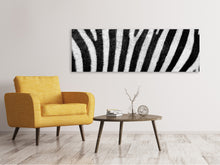 Lade das Bild in den Galerie-Viewer, Leinwandbild Panorama Streifen vom Zebra
