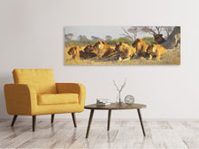 Lade das Bild in den Galerie-Viewer, Leinwandbild Panorama Löwen Familie
