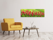 Lade das Bild in den Galerie-Viewer, Leinwandbild Panorama Rotes Tulpenfeld im Sonnenlicht
