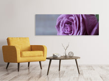 Lade das Bild in den Galerie-Viewer, Leinwandbild Panorama Rose in Lila XXL
