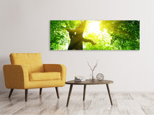 Lade das Bild in den Galerie-Viewer, Leinwandbild Panorama Baum
