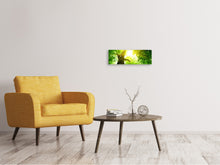 Lade das Bild in den Galerie-Viewer, Leinwandbild Panorama Baum
