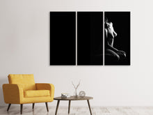 Lade das Bild in den Galerie-Viewer, Leinwandbild 3-teilig Die Unbekannte Schöne

