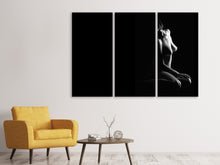 Lade das Bild in den Galerie-Viewer, Leinwandbild 3-teilig Die Unbekannte Schöne
