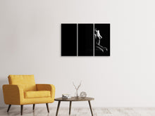 Lade das Bild in den Galerie-Viewer, Leinwandbild 3-teilig Die Unbekannte Schöne
