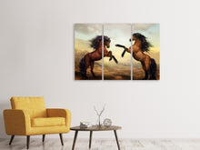 Lade das Bild in den Galerie-Viewer, Leinwandbild 3-teilig Zwei wilde Pferde
