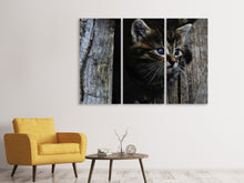 Lade das Bild in den Galerie-Viewer, Leinwandbild 3-teilig Katzen Kind
