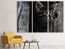 Lade das Bild in den Galerie-Viewer, Leinwandbild 3-teilig Katzen Kind
