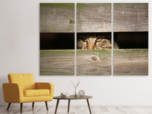 Lade das Bild in den Galerie-Viewer, Leinwandbild 3-teilig Katze im Versteck
