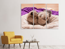 Lade das Bild in den Galerie-Viewer, Leinwandbild 3-teilig Kitten Trio zum Verlieben
