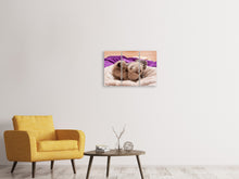 Lade das Bild in den Galerie-Viewer, Leinwandbild 3-teilig Kitten Trio zum Verlieben
