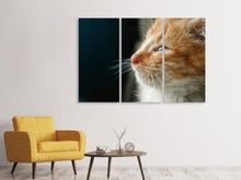 Lade das Bild in den Galerie-Viewer, Leinwandbild 3-teilig Kitten Nase
