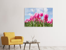 Lade das Bild in den Galerie-Viewer, Leinwandbild 3-teilig Tulpenfeld in rosa
