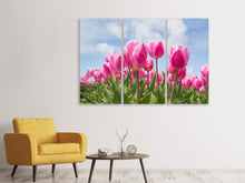 Lade das Bild in den Galerie-Viewer, Leinwandbild 3-teilig Tulpenfeld in rosa
