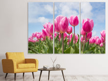 Lade das Bild in den Galerie-Viewer, Leinwandbild 3-teilig Tulpenfeld in rosa
