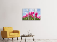 Lade das Bild in den Galerie-Viewer, Leinwandbild 3-teilig Tulpenfeld in rosa
