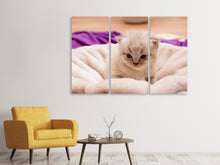 Lade das Bild in den Galerie-Viewer, Leinwandbild 3-teilig Kitten zum Verlieben
