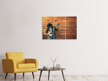 Lade das Bild in den Galerie-Viewer, Leinwandbild 3-teilig Cooler Musiker
