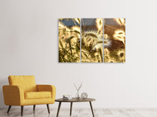 Lade das Bild in den Galerie-Viewer, Leinwandbild 3-teilig Ziergras im Sonnenlicht
