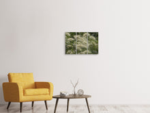 Lade das Bild in den Galerie-Viewer, Leinwandbild 3-teilig Ziergrass im Wind
