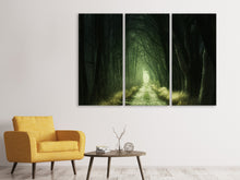 Lade das Bild in den Galerie-Viewer, Leinwandbild 3-teilig Mysteriöser Wald
