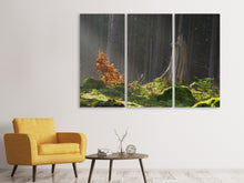 Lade das Bild in den Galerie-Viewer, Leinwandbild 3-teilig Der Zauber im Wald
