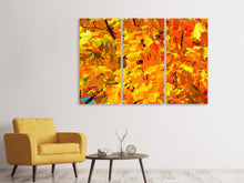 Lade das Bild in den Galerie-Viewer, Leinwandbild 3-teilig Herbst Blätter
