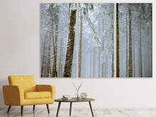 Lade das Bild in den Galerie-Viewer, Leinwandbild 3-teilig Wald im Winter
