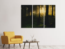 Lade das Bild in den Galerie-Viewer, Leinwandbild 3-teilig Sonnenuntergang im Wald
