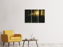 Lade das Bild in den Galerie-Viewer, Leinwandbild 3-teilig Sonnenuntergang im Wald
