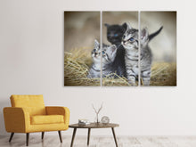 Lade das Bild in den Galerie-Viewer, Leinwandbild 3-teilig Kitten Trio

